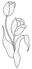 Black and White Tulip Flower Vector in Hand-Drawn Style