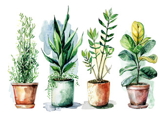 plants in pots watercolor texture decorative stickers