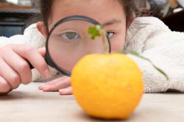 虫眼鏡で柚子を見る子供 - obrazy, fototapety, plakaty