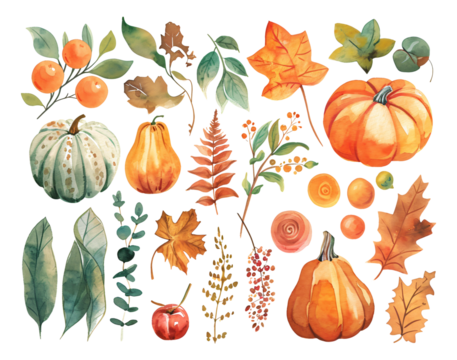 pattern with pumpkins watercolor texture decorative stickers