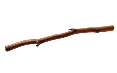 Brown Stick, Unveiling Earth's Subtle Beauty on White or PNG Transparent Background