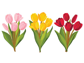Set of colorful bouquet of tulips. Vector illustration.
