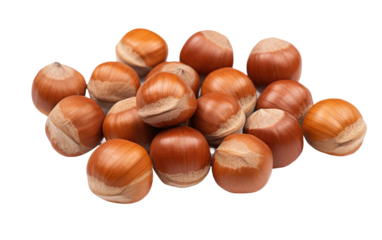 Cooking and Baking with Fresh Hazelnuts on White or PNG Transparent Background
