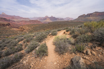 hiking the tonto trail in the grand canyon national park, arizona, usa