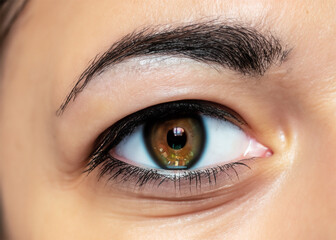 Obraz premium Human eye