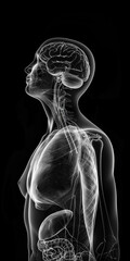 MRT / CT und Röntgenbild eines menschlichen Körpers im Hochformat, ai generativ