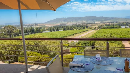 Foto op Plexiglas Visit to a pretty vineyard in South Africa in November © Gilles Rivest