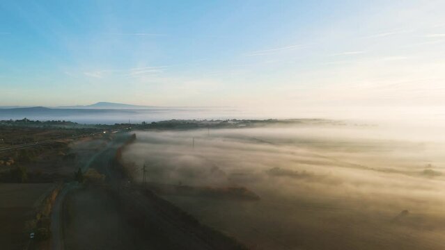 Highway to Horizon Through Morning Mist