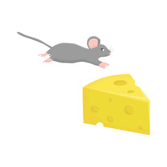 mouse and cheese illustration