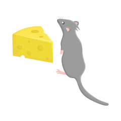 mouse and cheese illustration