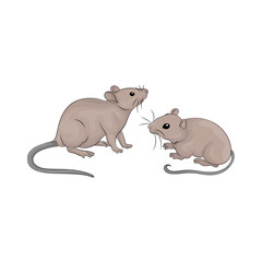 Illustration of two mouse 