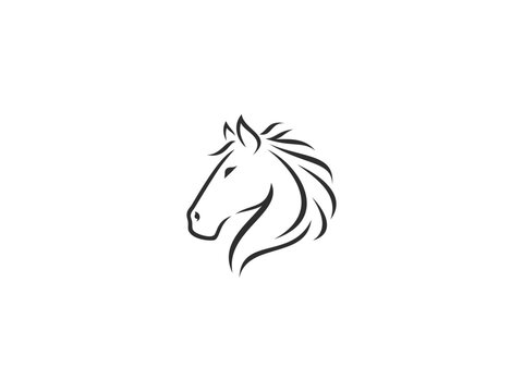 horse head outline logo vector icon illustration, logo template