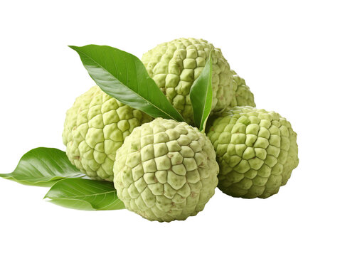 Custard Apple Fruit on white background