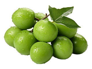 Obraz premium Kakadu Plum Fruit on white background