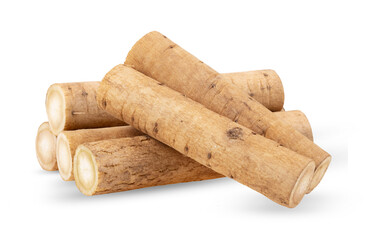 burdock roots or kobo isolated on transparent png