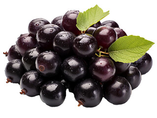 simple clip art of Acai Fruit on white background