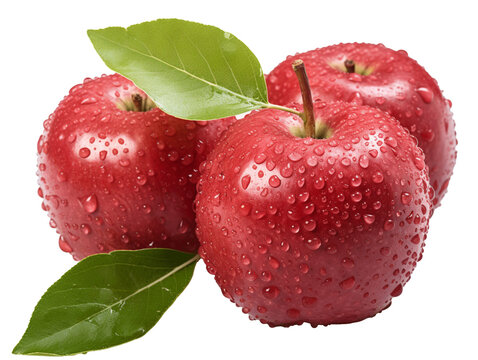 simple clip art of Elephant Apple Fruit on white background