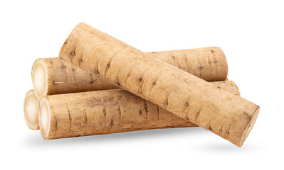 burdock roots or kobo isolated on transparent png - obrazy, fototapety, plakaty