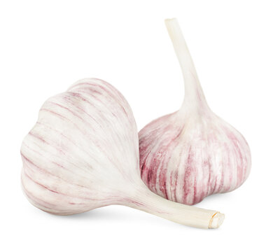 two heads of garlic on a white isolated background