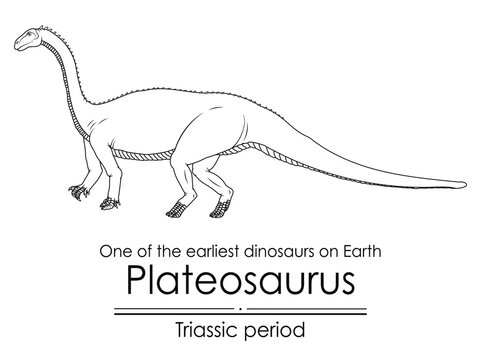 Plateosaurus, one of the earliest dinosaurs on Earth, appeared during the Triassic period. Black and white line art, perfect for coloring and educational purposes.