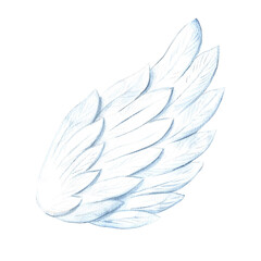 The white wing of an angel. A hand-drawn watercolor illustration. Conceptual design for Valentine's Day and wedding. For postcards, prints and packaging. For flyers, banners, posters.