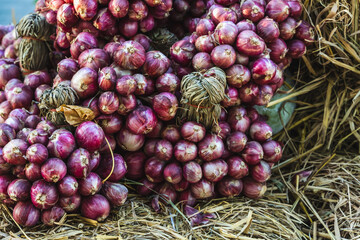 Bunches of organic red onions selling in market