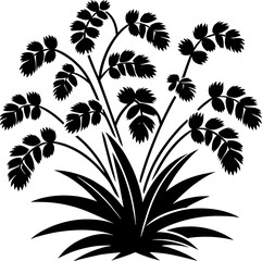 Gyrostemonaceae plant icon 3