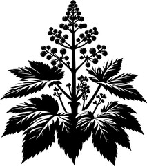 Gunneraceae plant icon 8