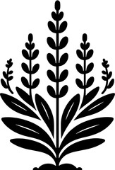 Goupiaceae plant icon 1