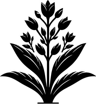 Goodeniaceae plant icon 5