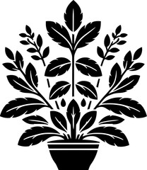 Gerrardinaceae plant icon 13