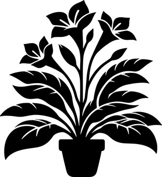 Gesneriaceae plant icon 2