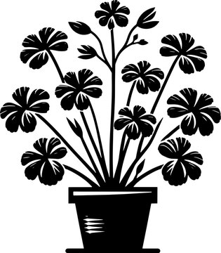 Gerrardinaceae plant icon 5