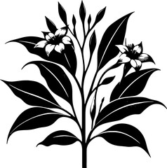 Gelsemiaceae plant icon 5