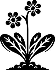 Geissolomataceae plant icon