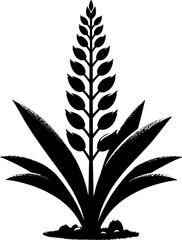 Garryaceae plant icon 13