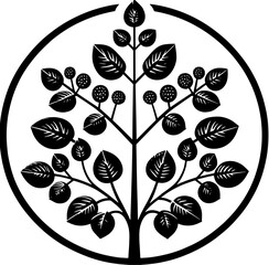 Eupteleaceae plant icon 1
