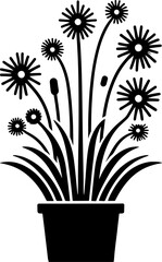 Eupomatiaceae plant icon 12