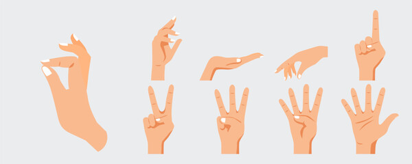 Isolated hand gestures stock illustration. Isolated human hand gesture, hand shows different signs. Body parts, fingers poses collection. vector eps10