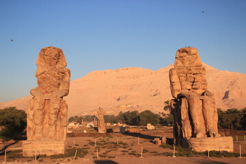 vue des deux colosses de Memnom (Thèbes,louxor,Egypte) lever de soleil 