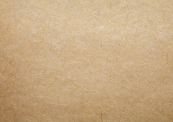 Obraz premium 古い和紙の背景テクスチャー