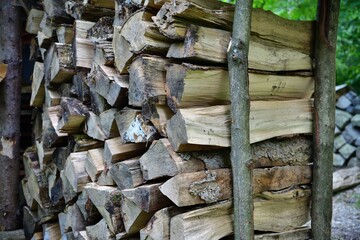 Chopping wood in the garden in the village in autumn