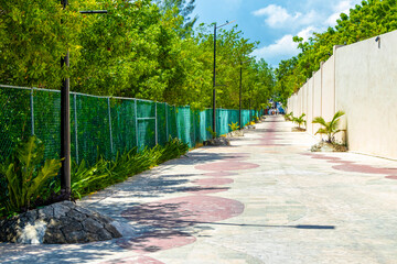 Natural tropical way walking path jungle nature palm trees Mexico.