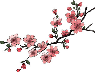 Springtime Sakura Illustration