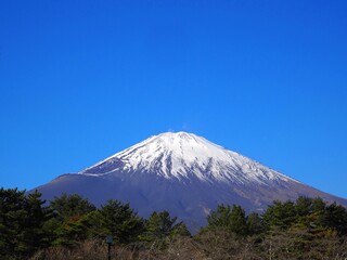 富士山のアップ