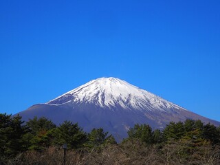 富士山のアップ