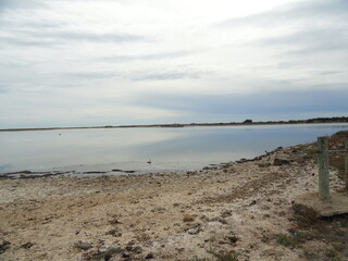 paysage sauvage de mer et étang