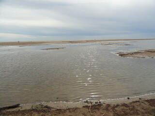 paysage sauvage de mer et étang