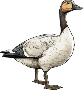 Charming Duck Artwork