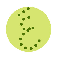 Arabic Alphabet Hijaiyyah